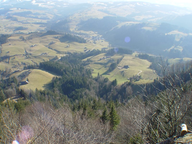 gal/diverses/wilket/DSC05645.JPG