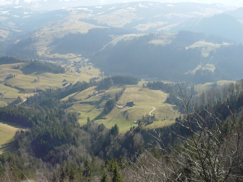 gal/diverses/wilket/DSC05646.JPG