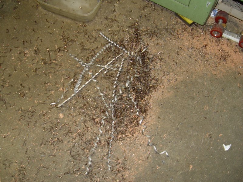 gal/werkstatt/Windrad/generator/DSC05867.JPG