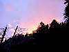 DSC06875.jpg