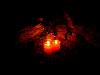 DSC06881.jpg
