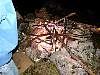 DSC06890.jpg
