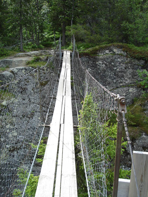 northtour242