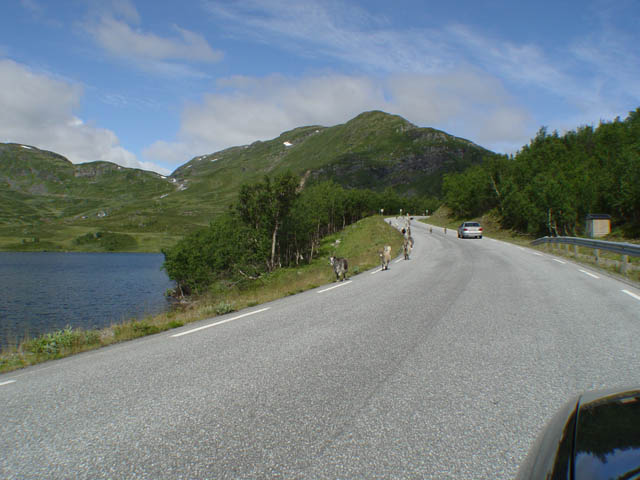 northtour252