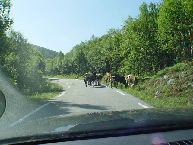 northtour288