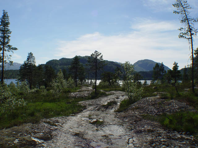 northtour371