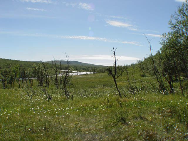 northtour420