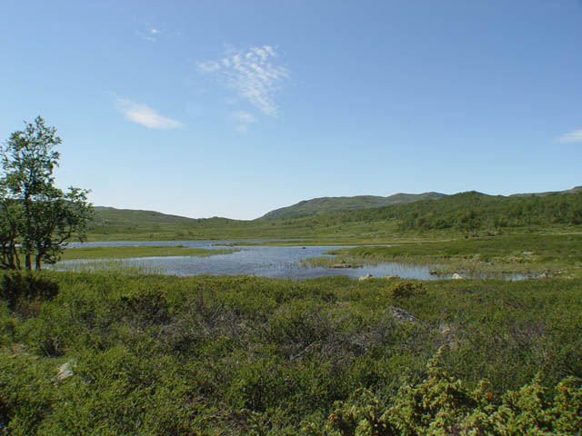northtour423