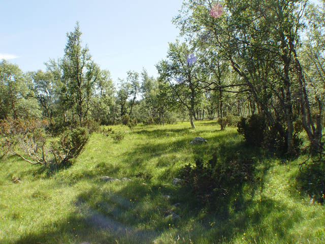 northtour424