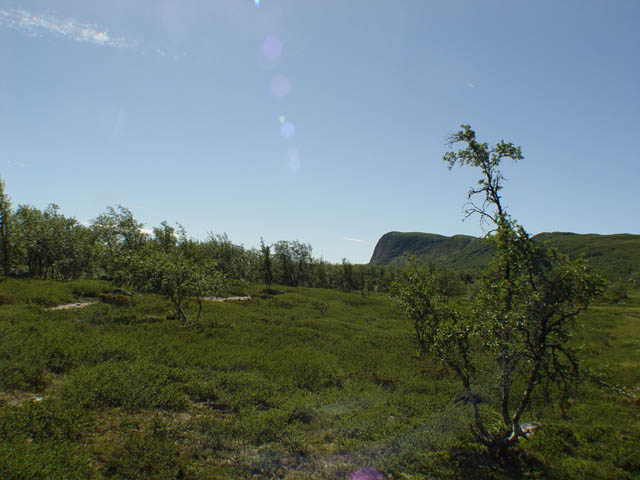 northtour426
