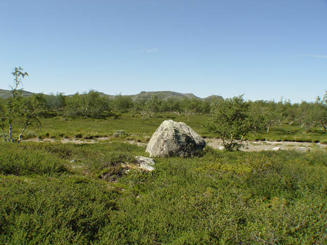 northtour427