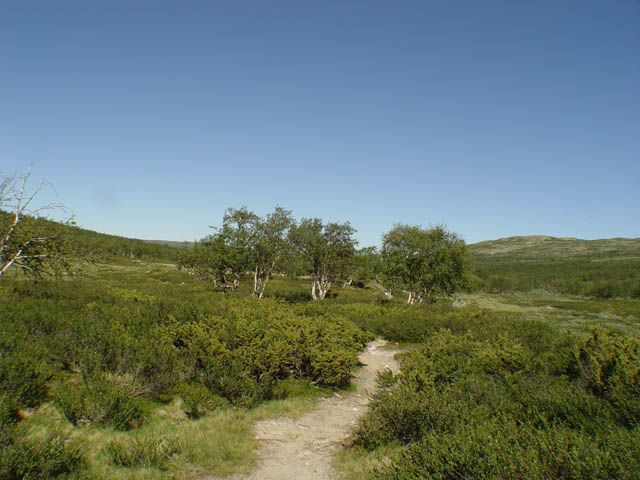northtour428
