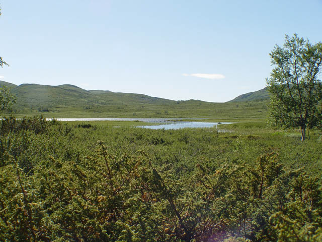 northtour429
