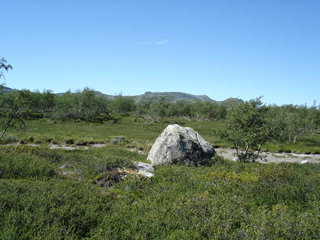northtour433