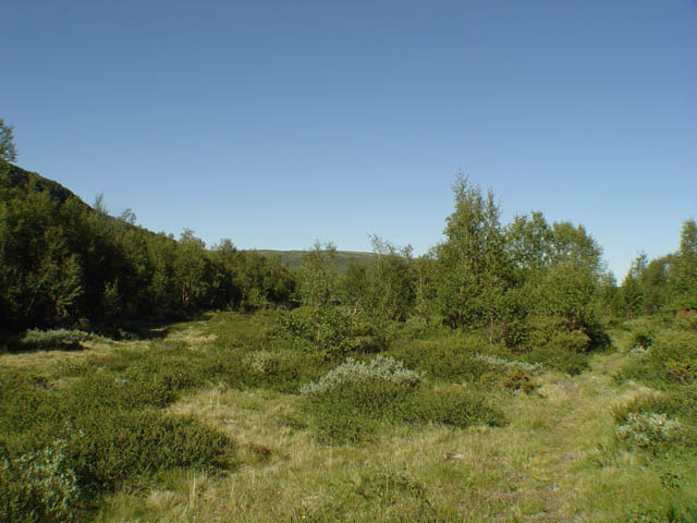 northtour444