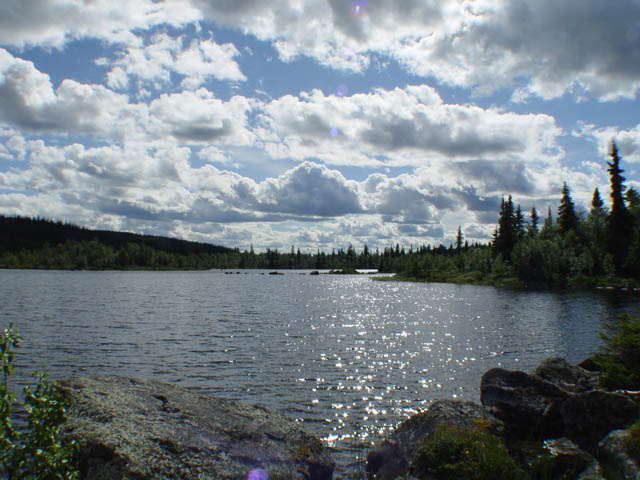 northtour449
