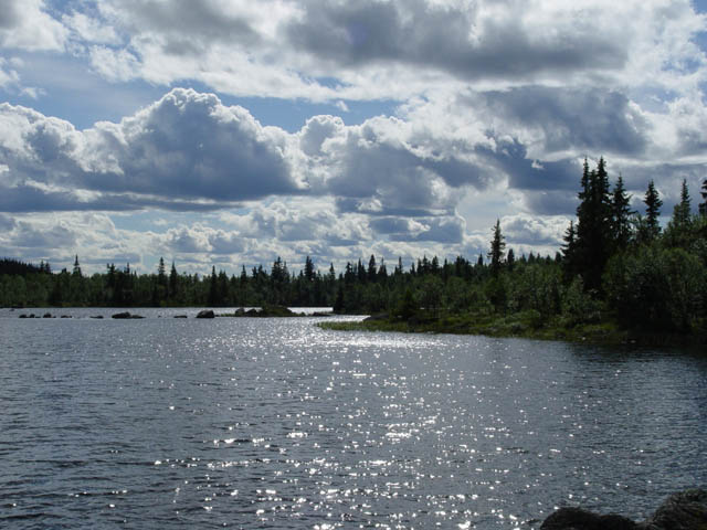 northtour451