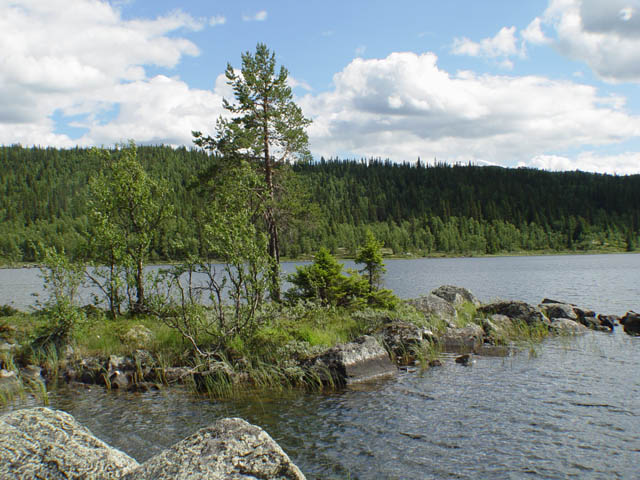 northtour452