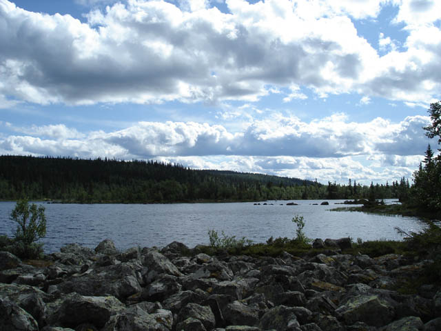 northtour460