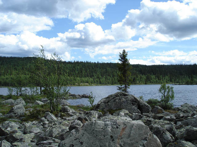 northtour461