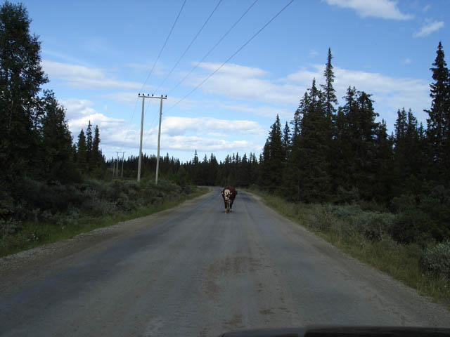 northtour465
