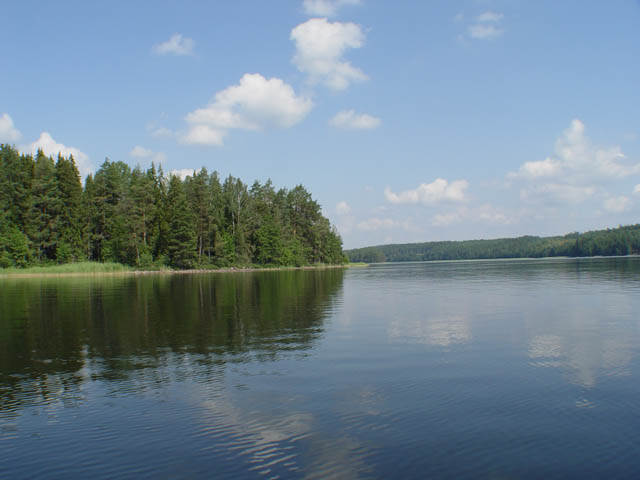 northtour491