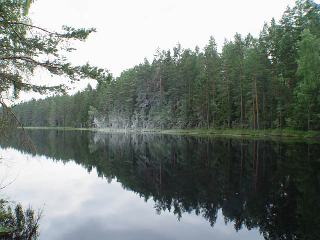 northtour519