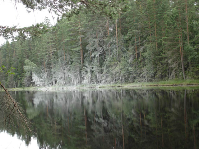 northtour526