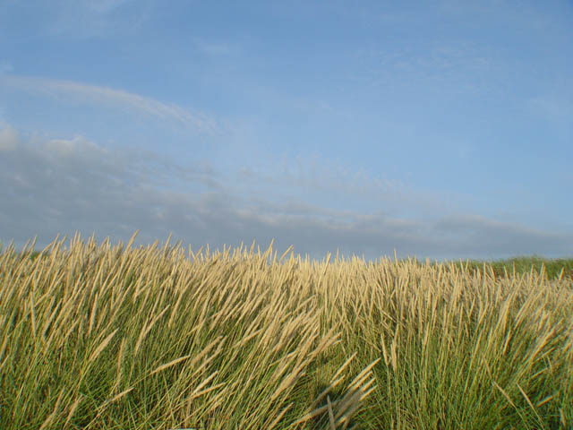 northtour568