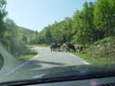 northtour288