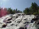 northtour298