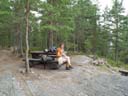 northtour517