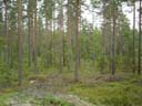 northtour522
