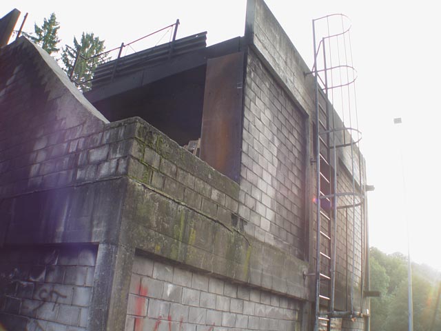 DSC07271
