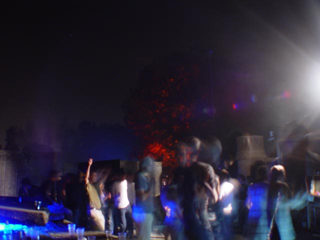 DSC07449