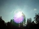 DSC04561.jpg