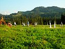 DSC04575.jpg
