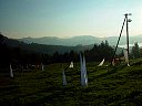 DSC04593.jpg
