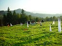 DSC04594.jpg