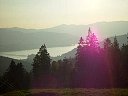 DSC04597.jpg