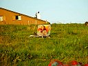 DSC04612.jpg