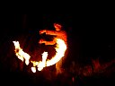DSC04697.jpg