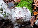 DSC05737.jpg