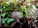 DSC05738.jpg
