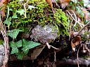 DSC05739.jpg