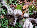 DSC05740.jpg