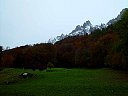 DSC05741.jpg