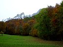 DSC05742.jpg