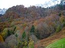 DSC05743.jpg