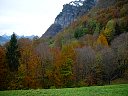 DSC05745.jpg